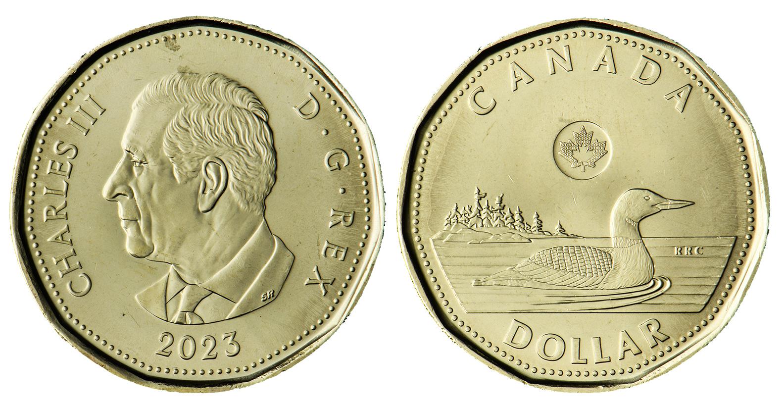 Coin, gold colour, 2 sides, profile of a middle-aged man on one side, the King, and a duck-like bird, a loon, on the other.