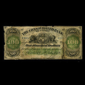 Canada, Consolidated Bank of Canada, 100 dollars : July 1, 1876