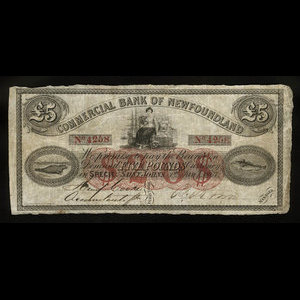 Canada, Commercial Bank of Newfoundland, 20 dollars : January 1, 1867