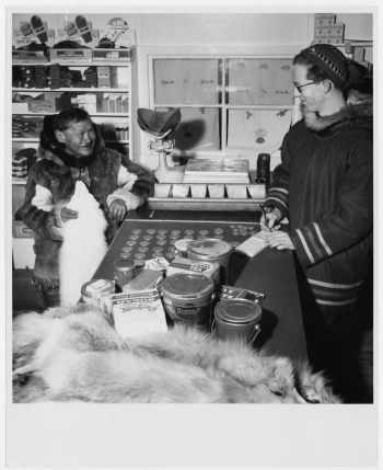 Photo, black and white, a room resembling a shop, two men, an Indigenous man holding a fur at a counter covered in coin-like objects, a white man on the other side.